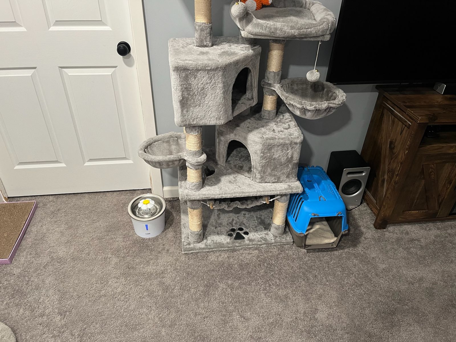 Carrier spot downstairs, by the cat tree