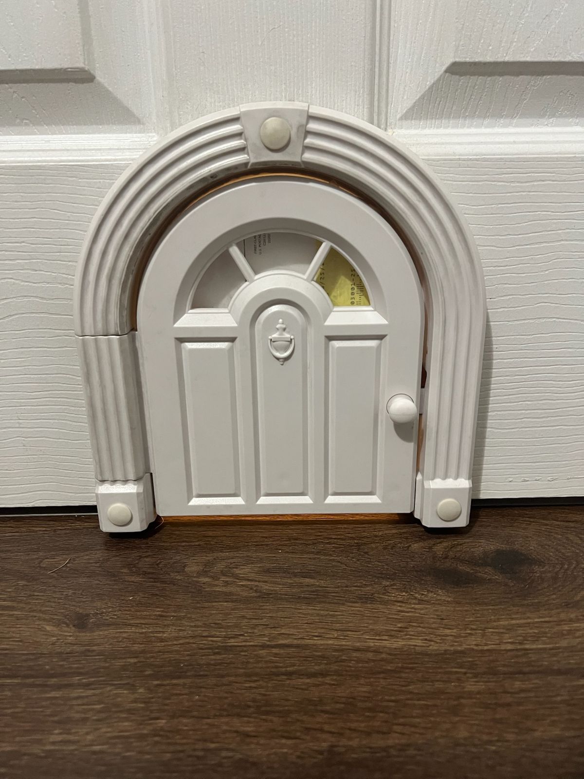 The basement cat door, closed