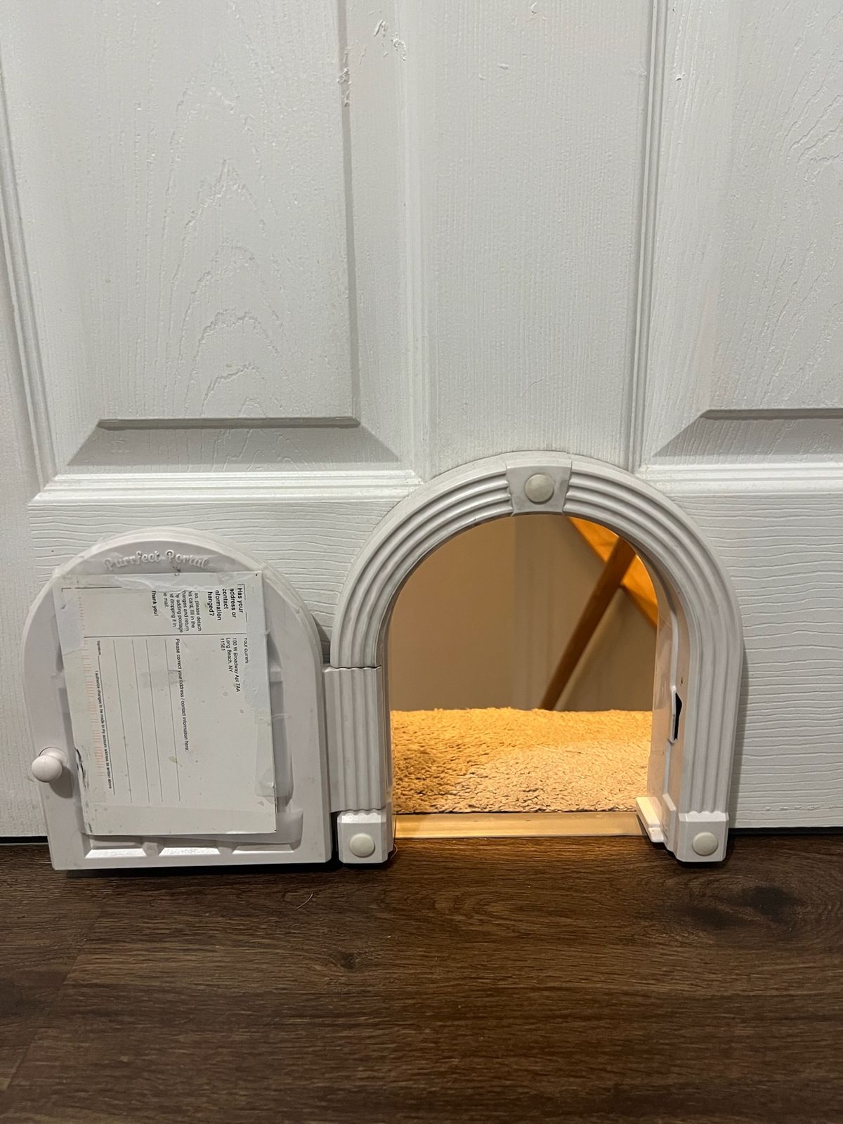 The basement cat door, open