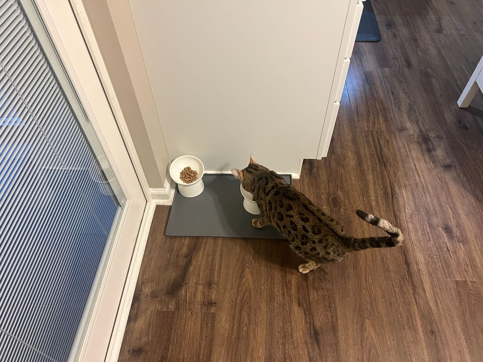 Joule's upstairs spot