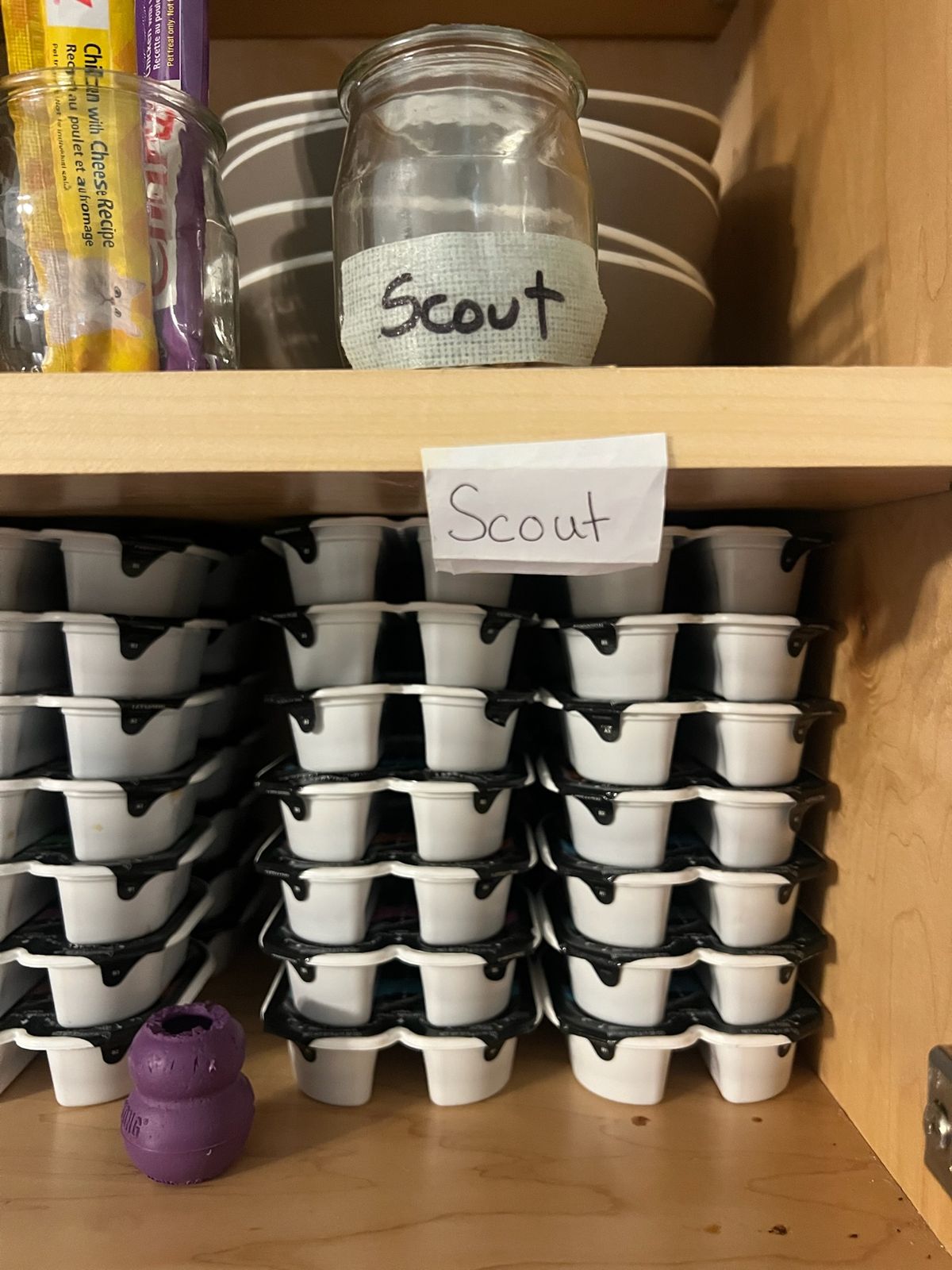Scout's food shelf