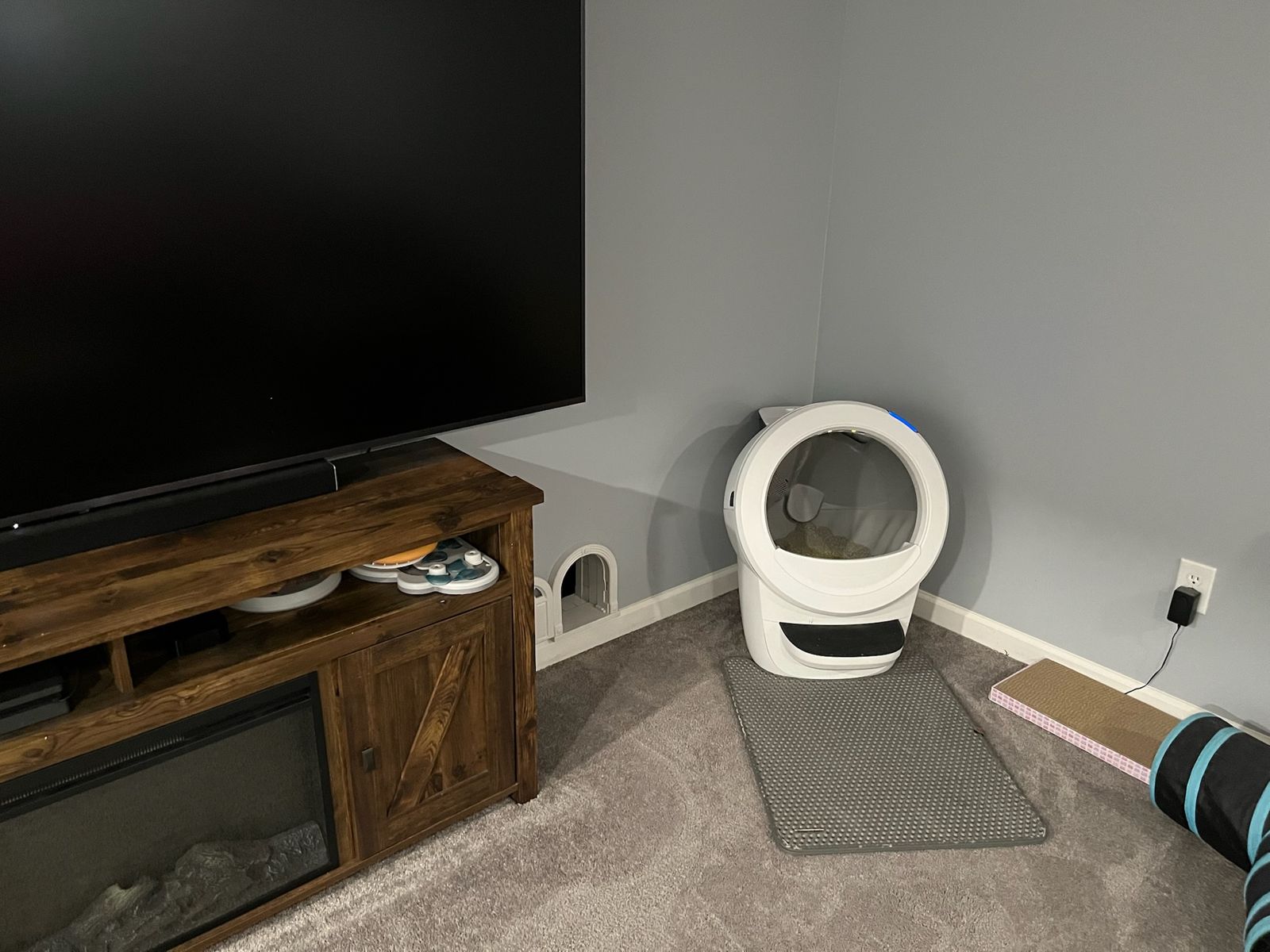 Litter box in the downstairs living room