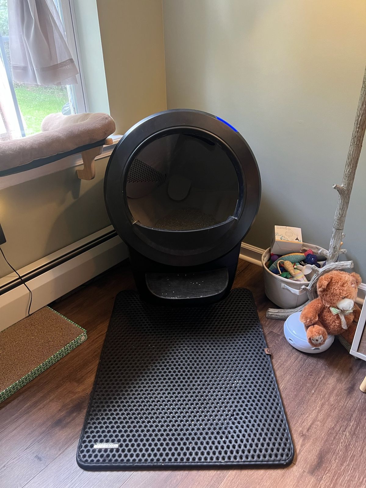 Litter box in the upstairs living room