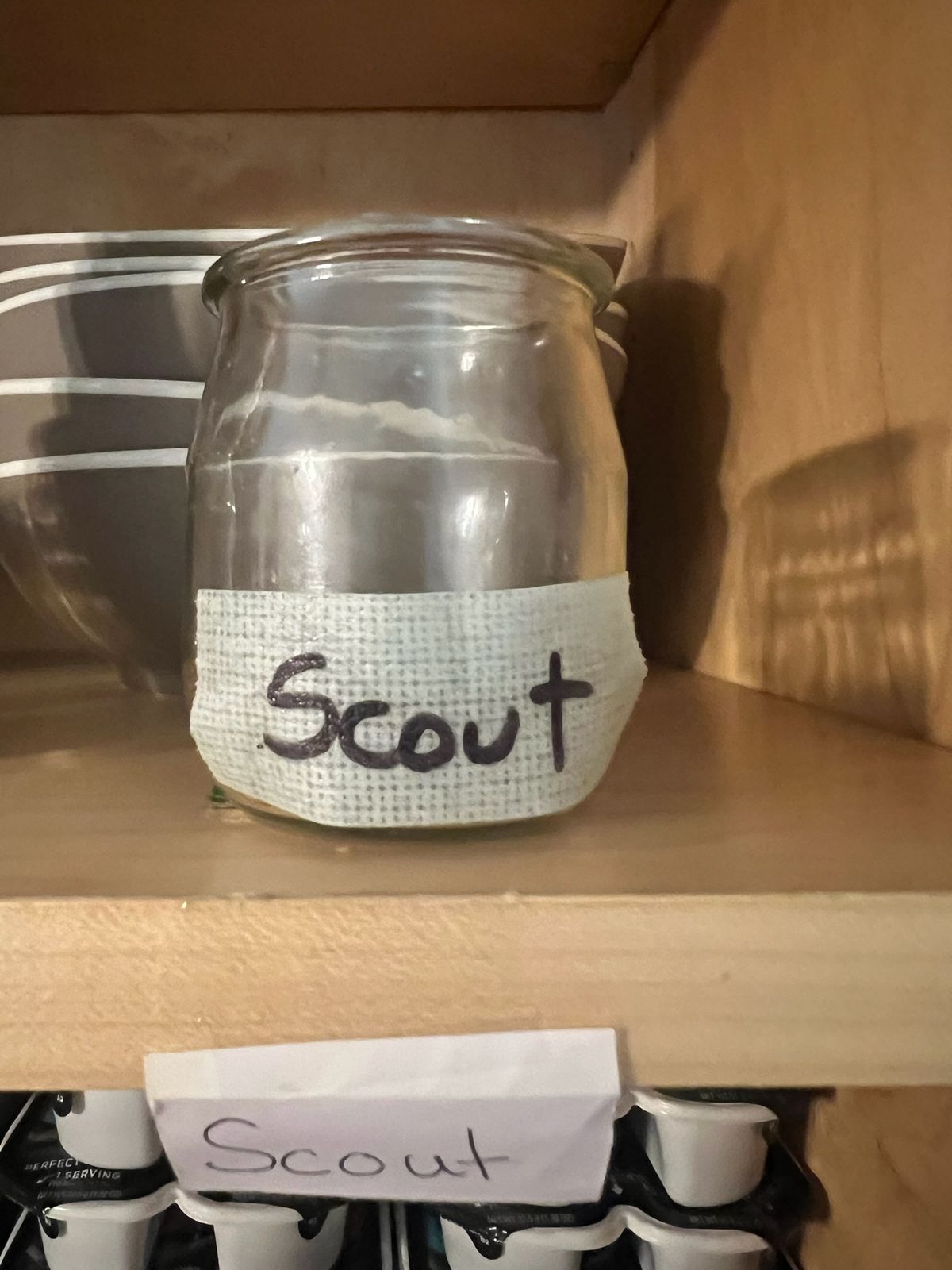 Scout's jar label