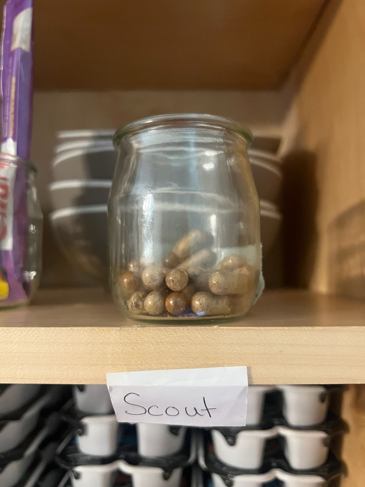 Scout's pill jar in the cabinet