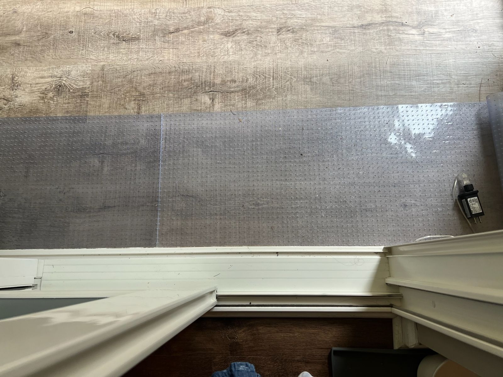Plastic spikes across the sunroom threshold